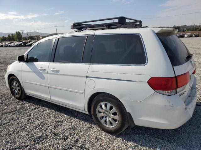 Photo 1 VIN: 5FNRL38698B064401 - HONDA ODYSSEY EX 