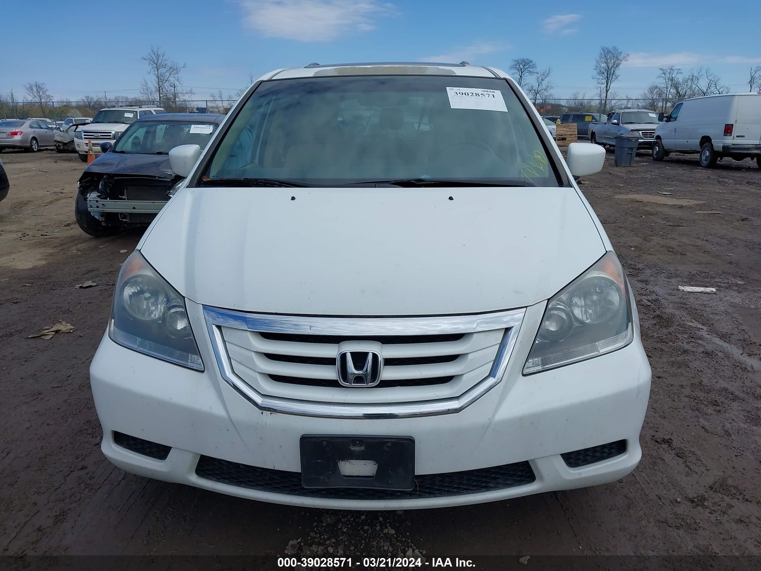 Photo 5 VIN: 5FNRL38699B404776 - HONDA ODYSSEY 