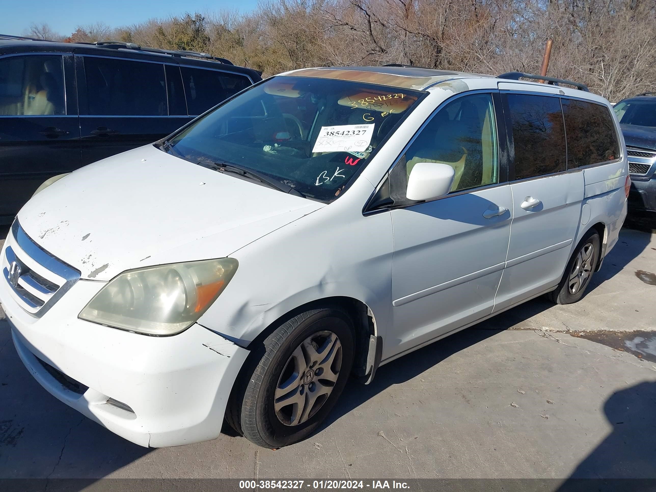 Photo 1 VIN: 5FNRL386X5B412704 - HONDA ODYSSEY 