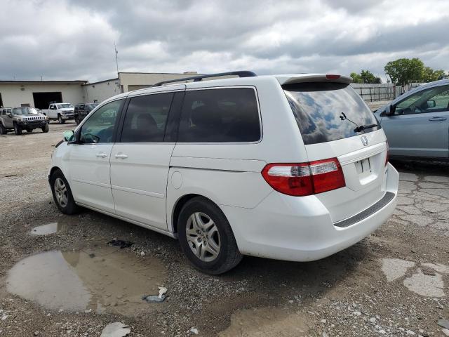 Photo 1 VIN: 5FNRL386X5B420169 - HONDA ODYSSEY EX 