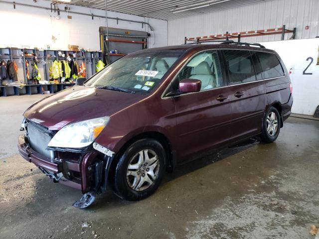 Photo 0 VIN: 5FNRL38707B066903 - HONDA ODYSSEY EX 