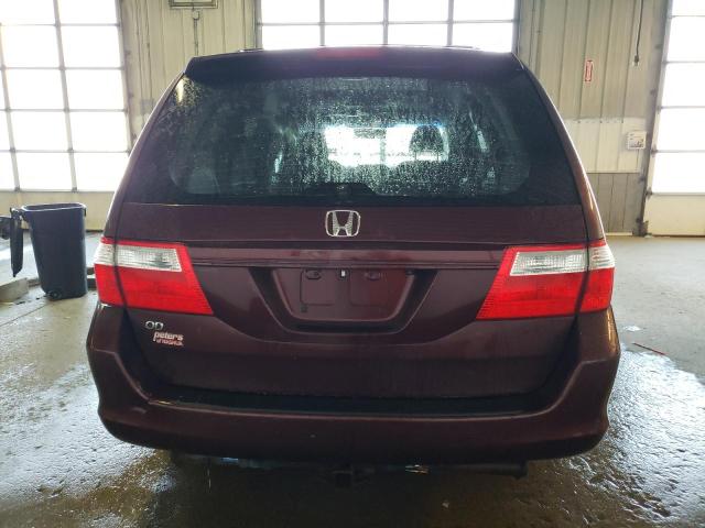 Photo 5 VIN: 5FNRL38707B066903 - HONDA ODYSSEY EX 