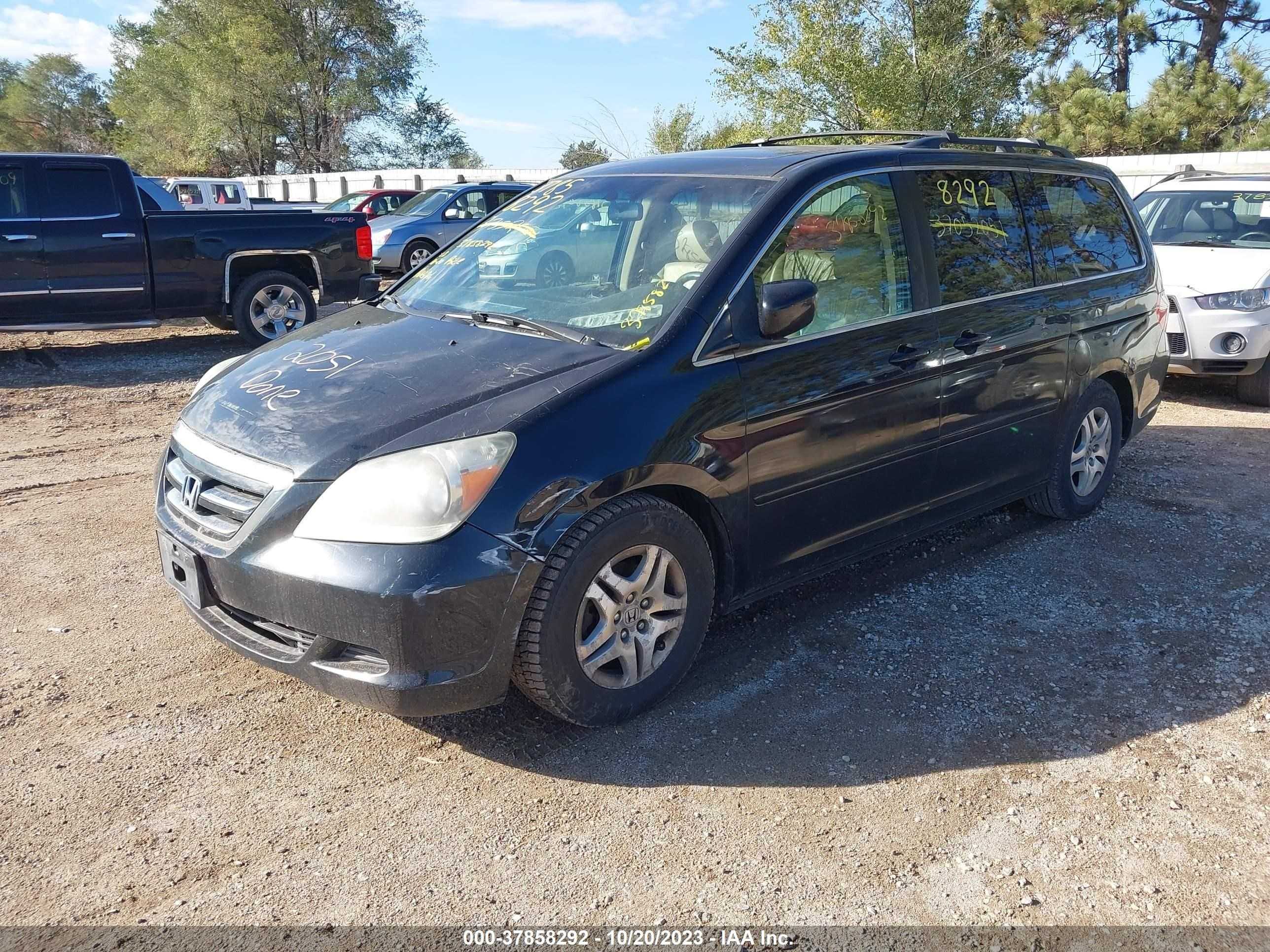 Photo 1 VIN: 5FNRL38707B132964 - HONDA ODYSSEY 