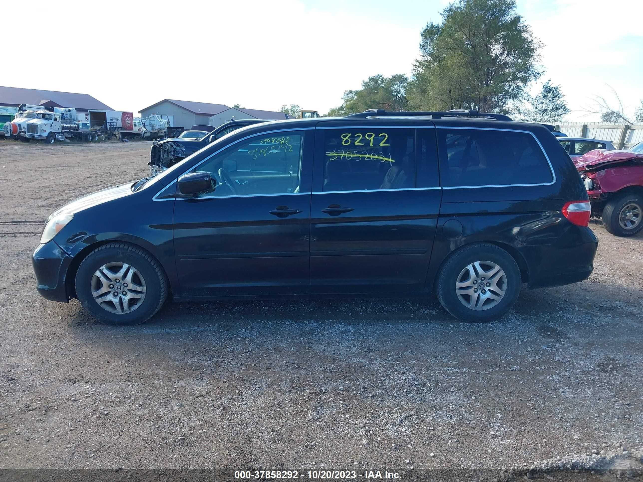 Photo 13 VIN: 5FNRL38707B132964 - HONDA ODYSSEY 