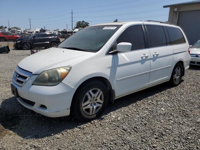 Photo 0 VIN: 5FNRL38707B421522 - HONDA ODYSSEY EX 