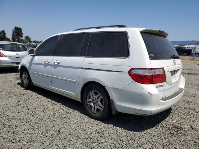 Photo 1 VIN: 5FNRL38707B421522 - HONDA ODYSSEY EX 