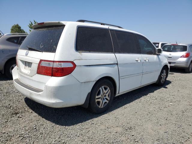 Photo 2 VIN: 5FNRL38707B421522 - HONDA ODYSSEY EX 