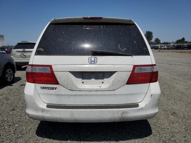 Photo 5 VIN: 5FNRL38707B421522 - HONDA ODYSSEY EX 