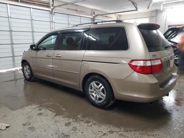 Photo 1 VIN: 5FNRL38707B427546 - HONDA ODYSSEY EX 