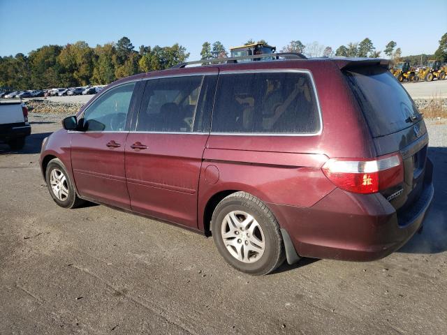 Photo 1 VIN: 5FNRL38707B452088 - HONDA ODYSSEY EX 