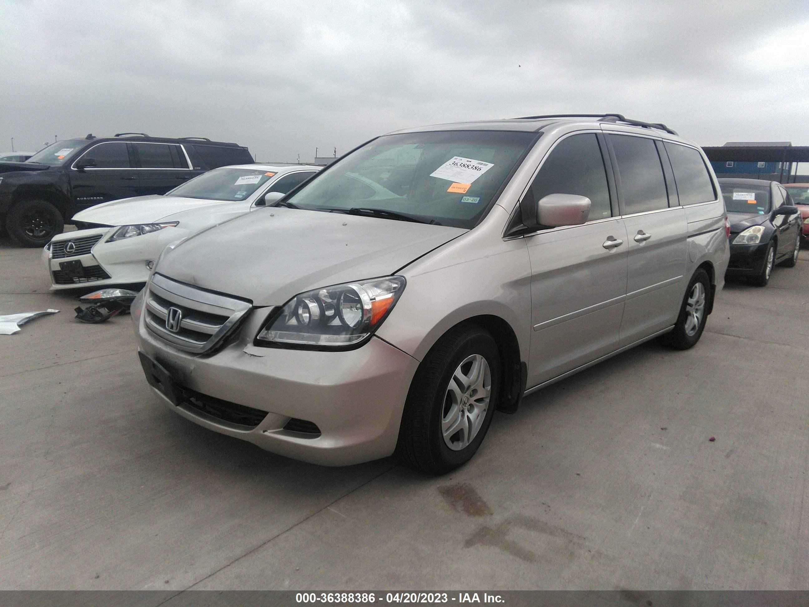 Photo 1 VIN: 5FNRL38716B426629 - HONDA ODYSSEY 