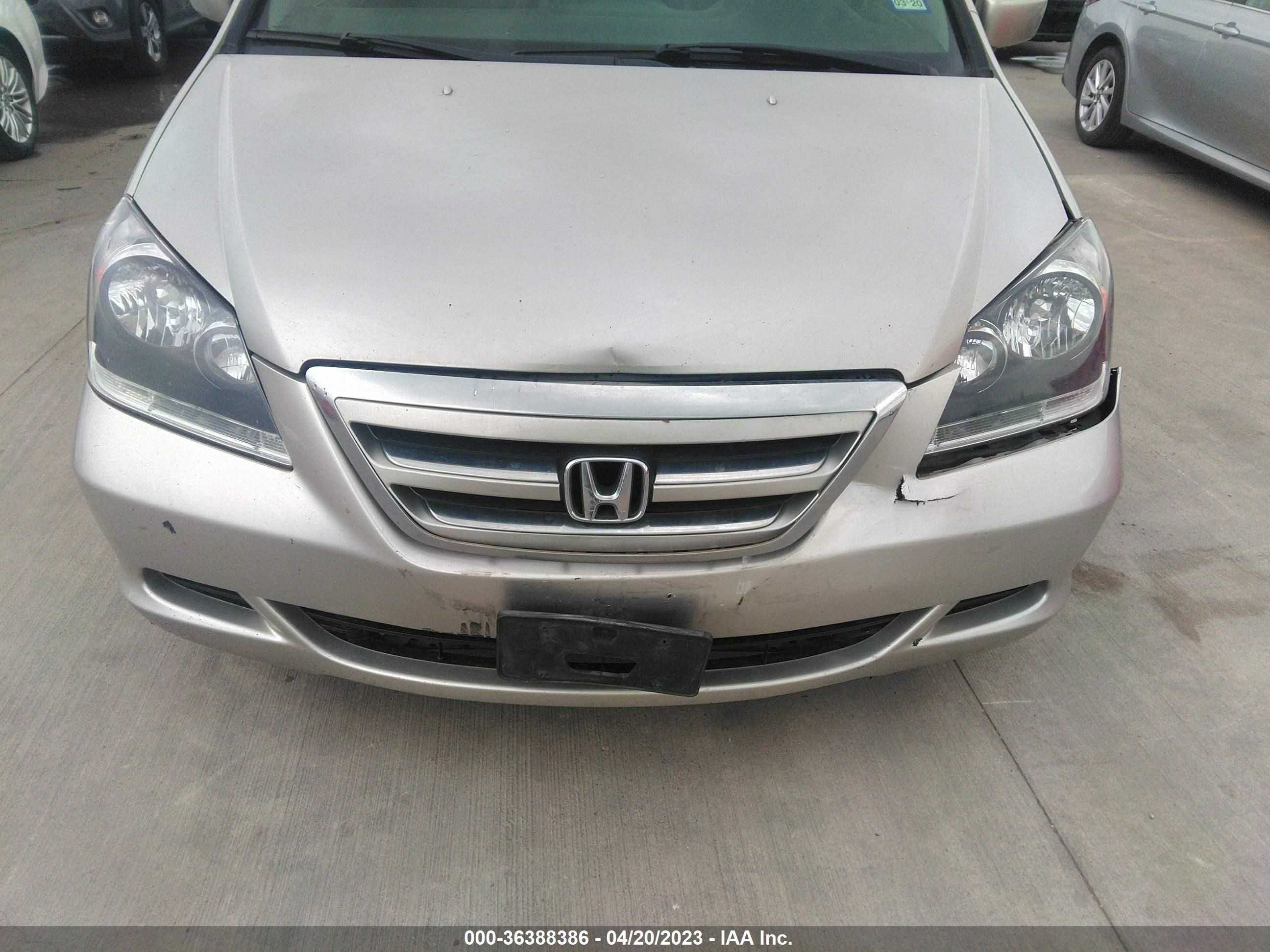 Photo 5 VIN: 5FNRL38716B426629 - HONDA ODYSSEY 