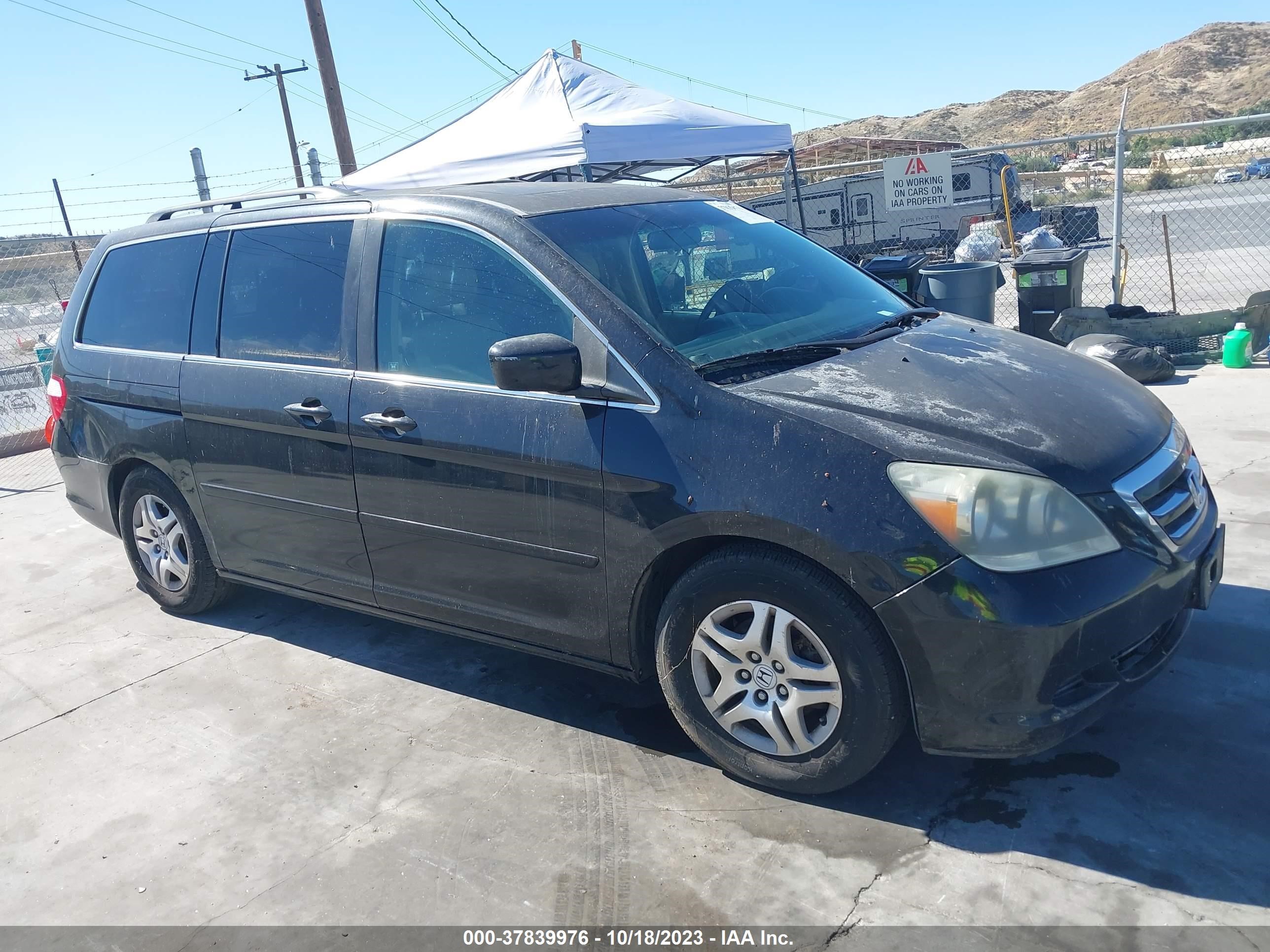 Photo 0 VIN: 5FNRL38717B098338 - HONDA ODYSSEY 