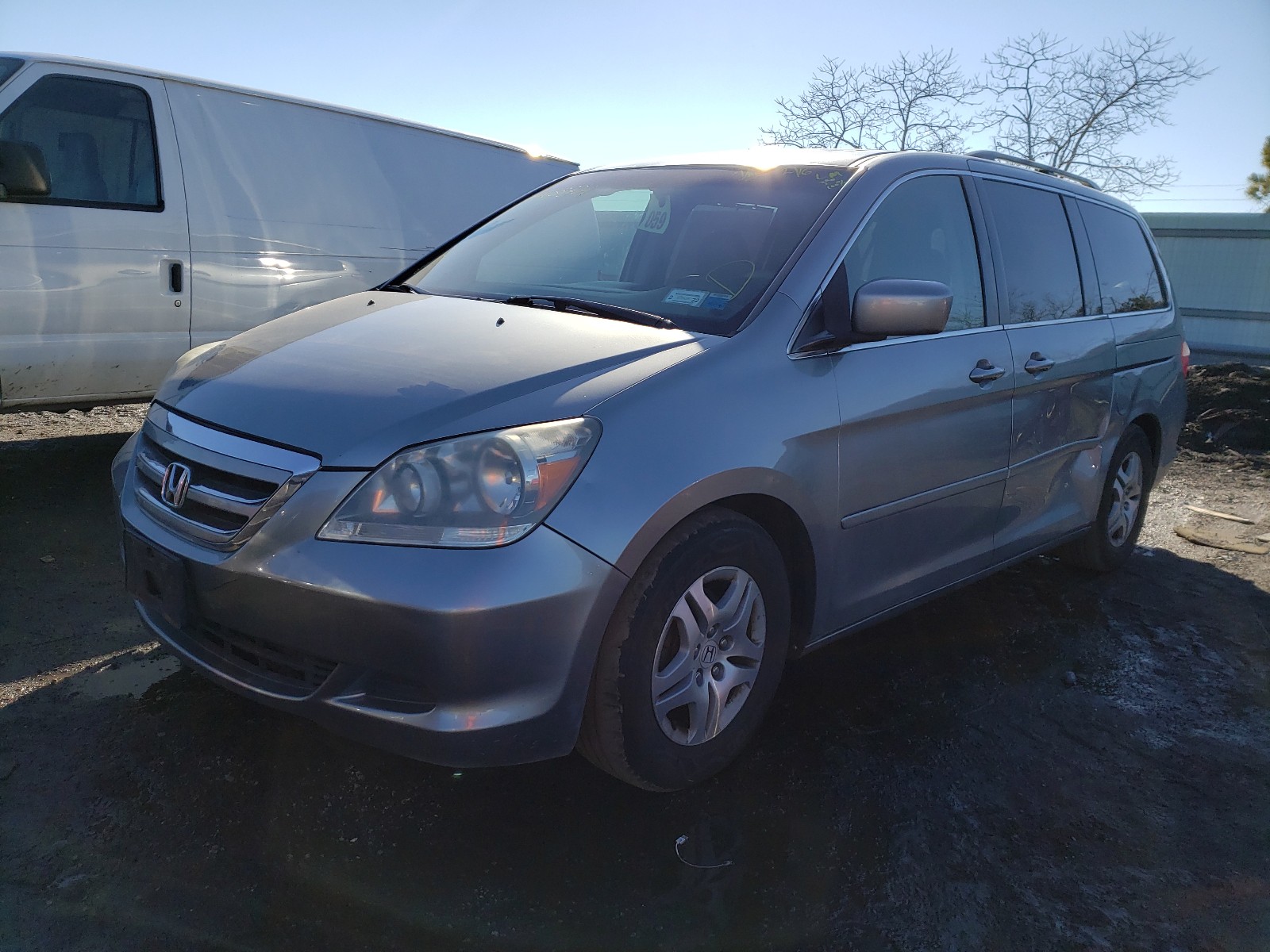 Photo 1 VIN: 5FNRL38717B106728 - HONDA ODYSSEY EX 