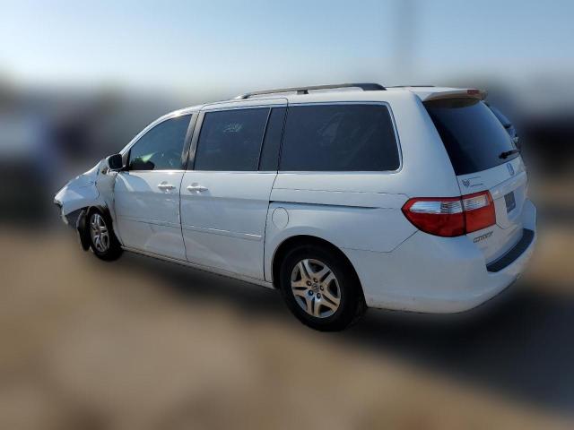 Photo 1 VIN: 5FNRL38717B444081 - HONDA ODYSSEY EX 