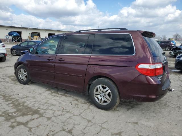 Photo 1 VIN: 5FNRL38717B450754 - HONDA ODYSSEY EX 