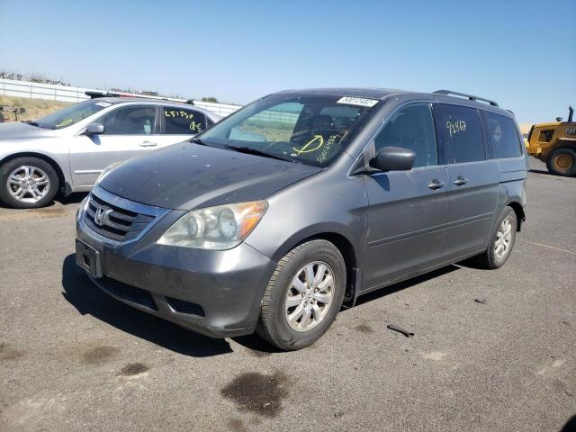 Photo 1 VIN: 5FNRL38718B113146 - HONDA ODYSSEY EX 