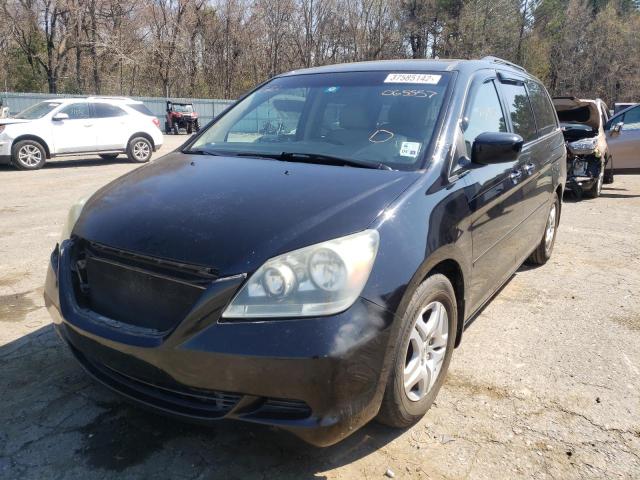 Photo 1 VIN: 5FNRL38727B065557 - HONDA ODYSSEY EX 