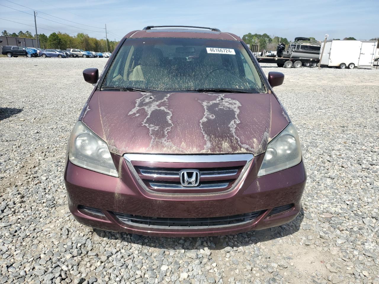 Photo 4 VIN: 5FNRL38727B080723 - HONDA ODYSSEY 