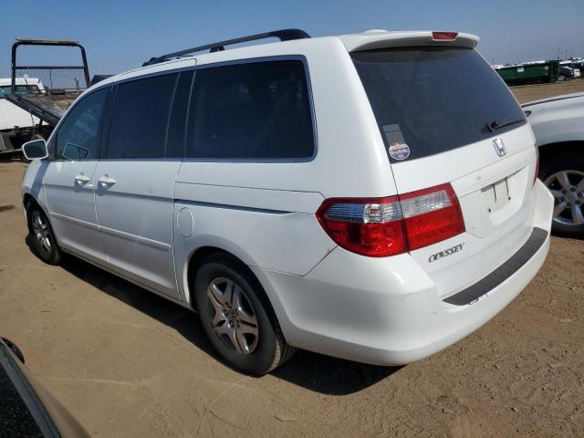 Photo 1 VIN: 5FNRL38727B402356 - HONDA ODYSSEY EX 