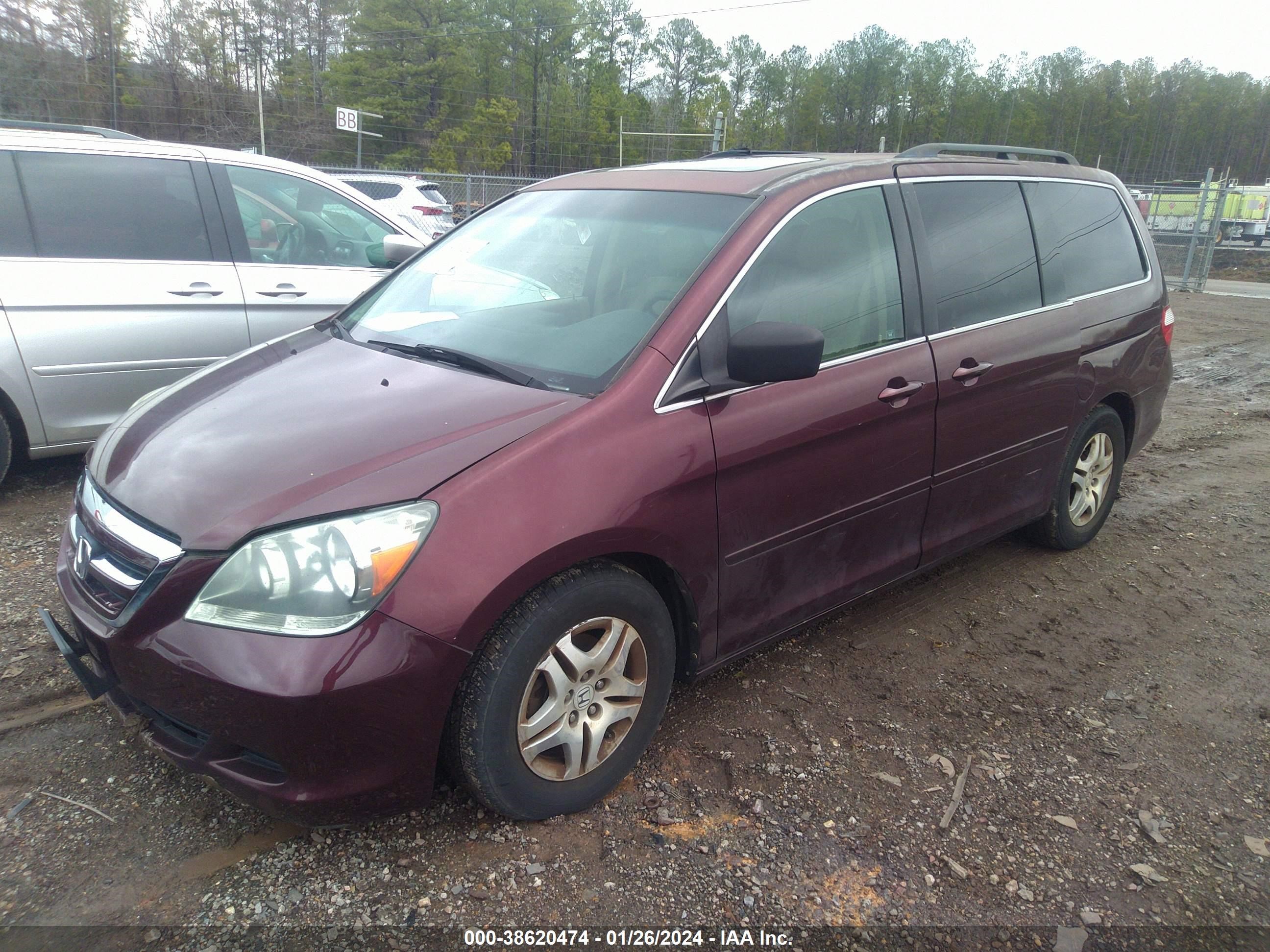 Photo 1 VIN: 5FNRL38727B457597 - HONDA ODYSSEY 