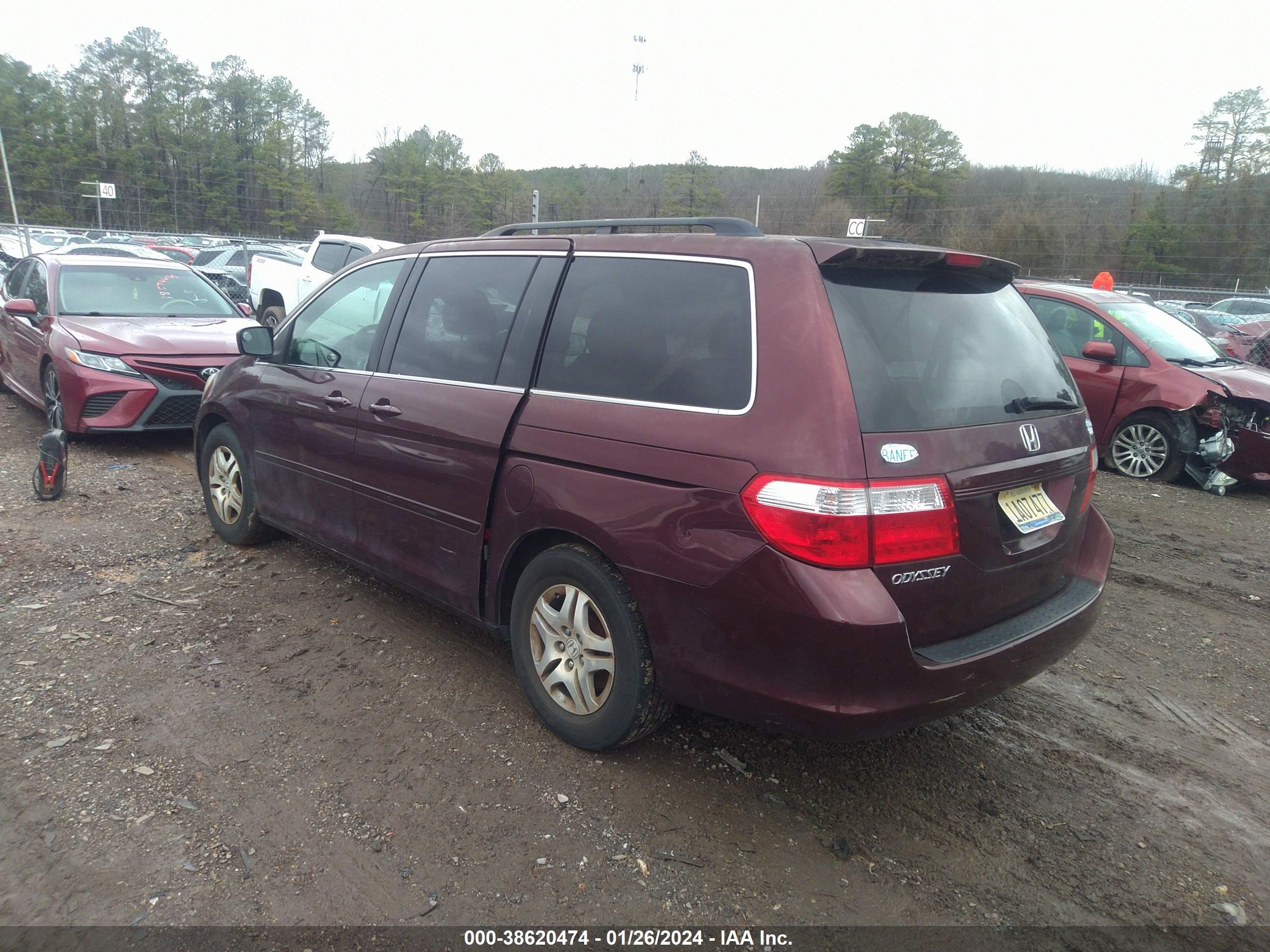 Photo 2 VIN: 5FNRL38727B457597 - HONDA ODYSSEY 