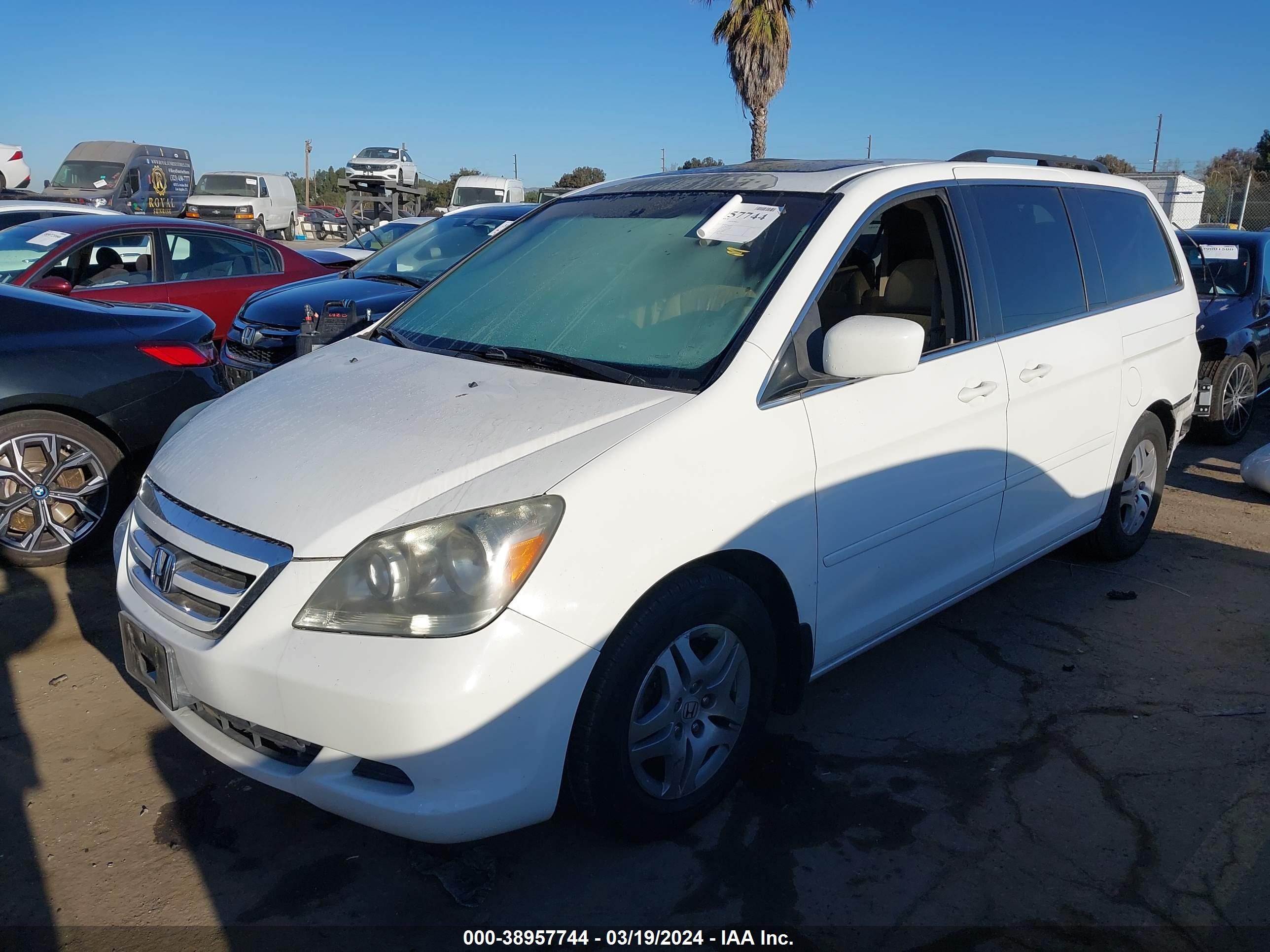 Photo 1 VIN: 5FNRL38727B462234 - HONDA ODYSSEY 