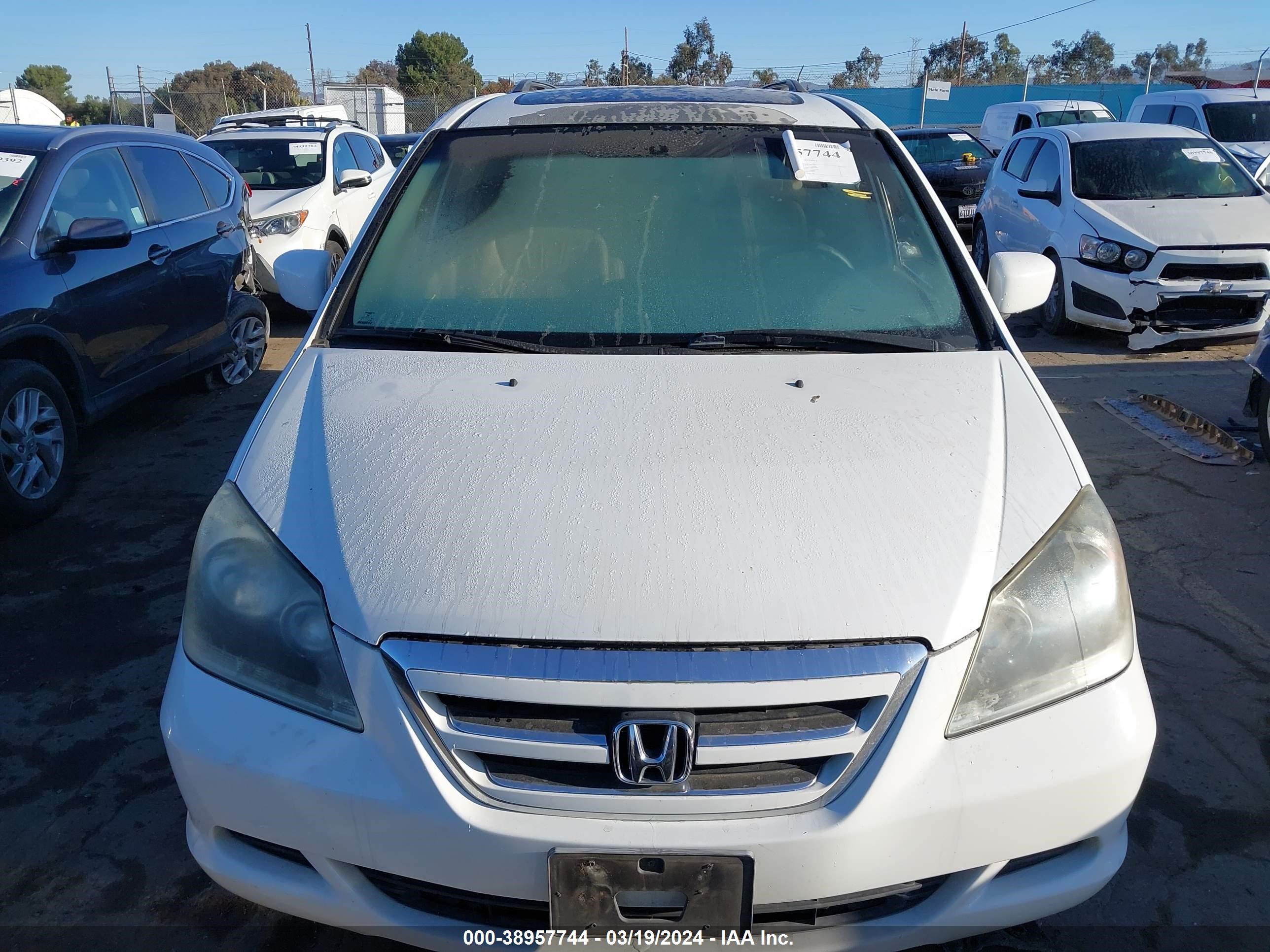 Photo 12 VIN: 5FNRL38727B462234 - HONDA ODYSSEY 