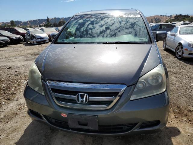 Photo 4 VIN: 5FNRL38737B079158 - HONDA ODYSSEY EX 