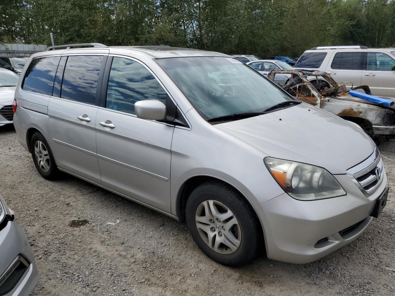 Photo 3 VIN: 5FNRL38737B416136 - HONDA ODYSSEY 