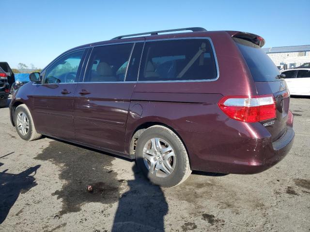 Photo 1 VIN: 5FNRL38737B461965 - HONDA ODYSSEY EX 