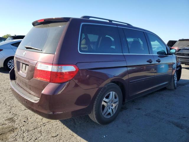 Photo 2 VIN: 5FNRL38737B461965 - HONDA ODYSSEY EX 