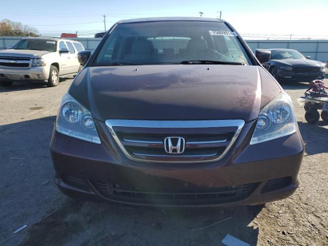 Photo 4 VIN: 5FNRL38737B461965 - HONDA ODYSSEY EX 