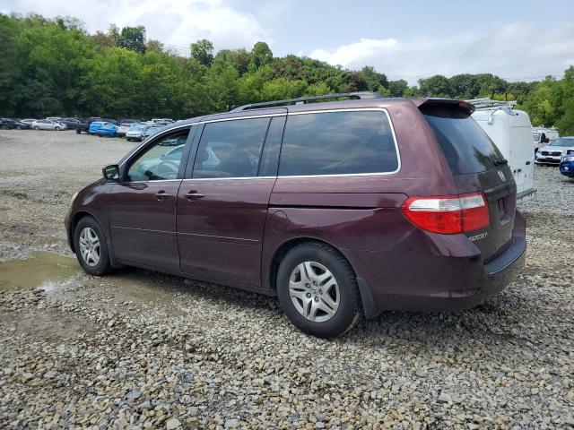 Photo 1 VIN: 5FNRL38737B462498 - HONDA ODYSSEY EX 