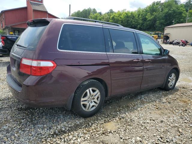 Photo 2 VIN: 5FNRL38737B462498 - HONDA ODYSSEY EX 