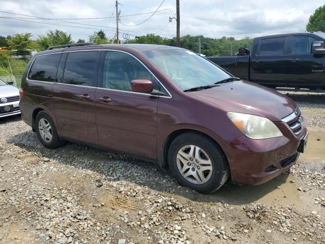 Photo 3 VIN: 5FNRL38737B462498 - HONDA ODYSSEY EX 