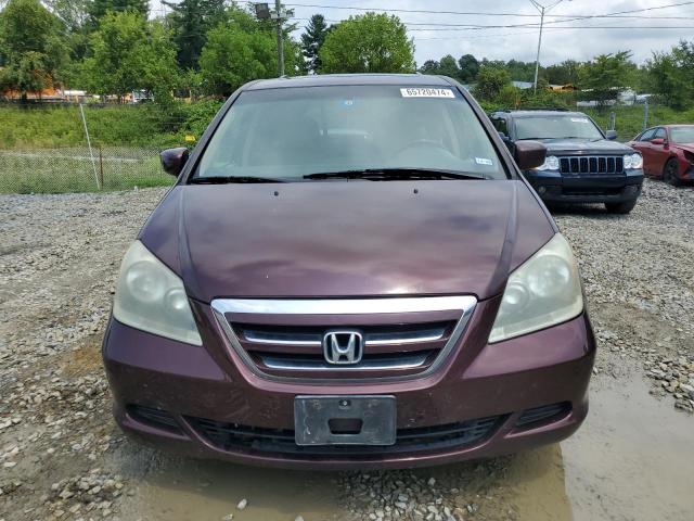 Photo 4 VIN: 5FNRL38737B462498 - HONDA ODYSSEY EX 