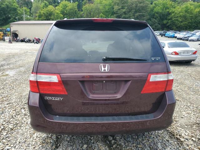 Photo 5 VIN: 5FNRL38737B462498 - HONDA ODYSSEY EX 