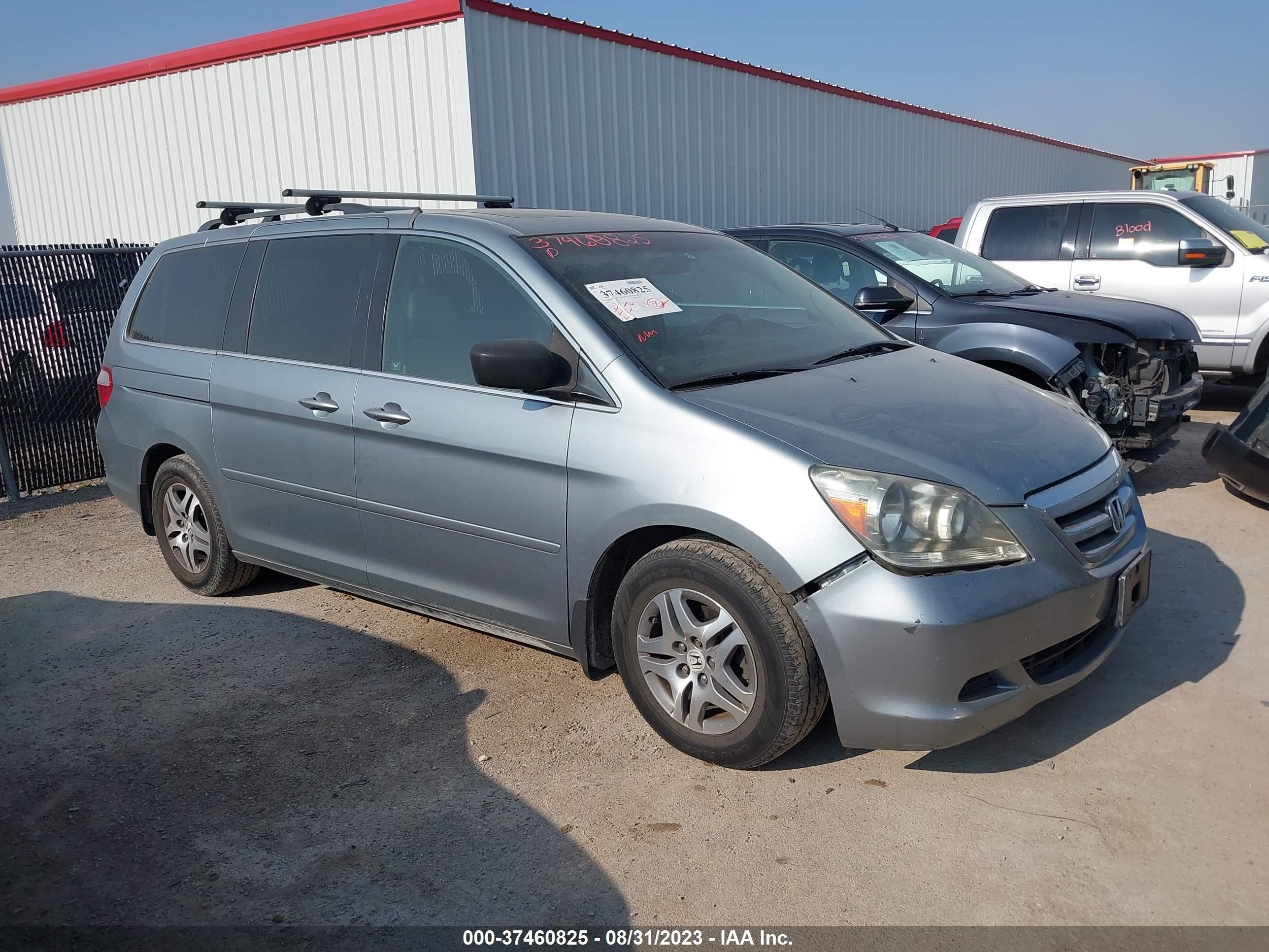 Photo 0 VIN: 5FNRL38747B013394 - HONDA ODYSSEY 