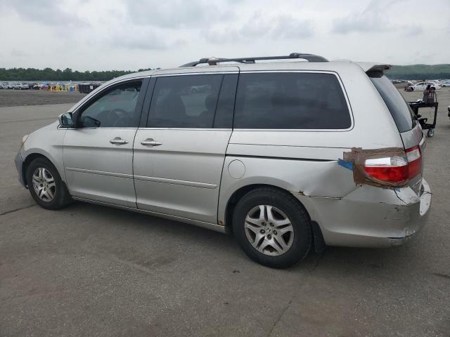 Photo 1 VIN: 5FNRL38747B037436 - HONDA ODYSSEY EX 