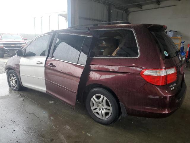 Photo 1 VIN: 5FNRL38747B127539 - HONDA ODYSSEY EX 