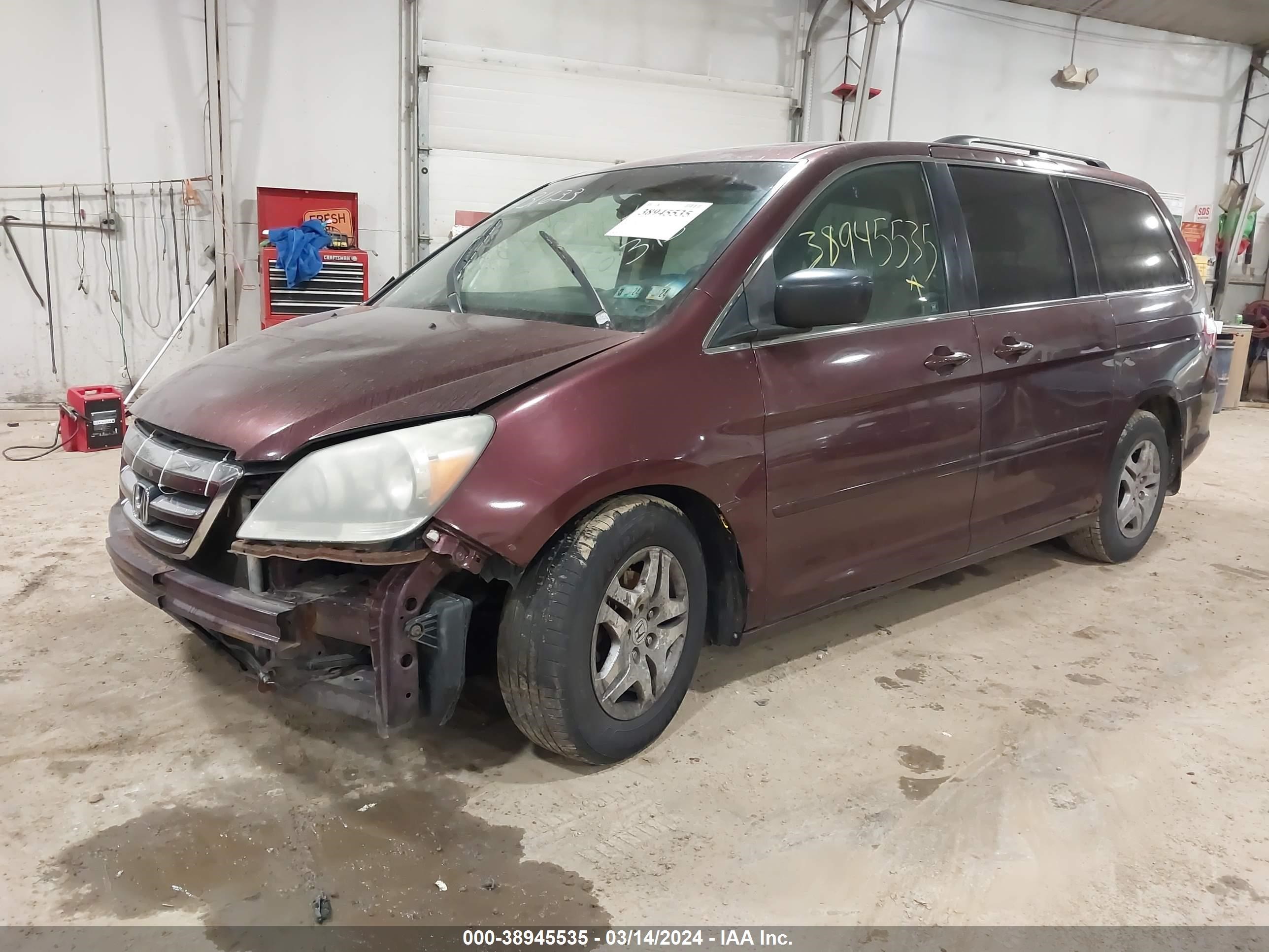 Photo 1 VIN: 5FNRL38747B431633 - HONDA ODYSSEY 