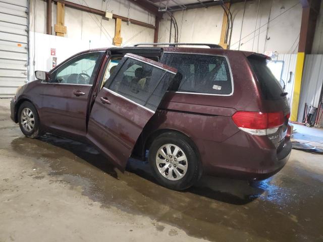 Photo 1 VIN: 5FNRL38748B017799 - HONDA ODYSSEY EX 