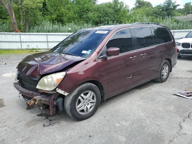 Photo 0 VIN: 5FNRL38757B090629 - HONDA ODYSSEY EX 