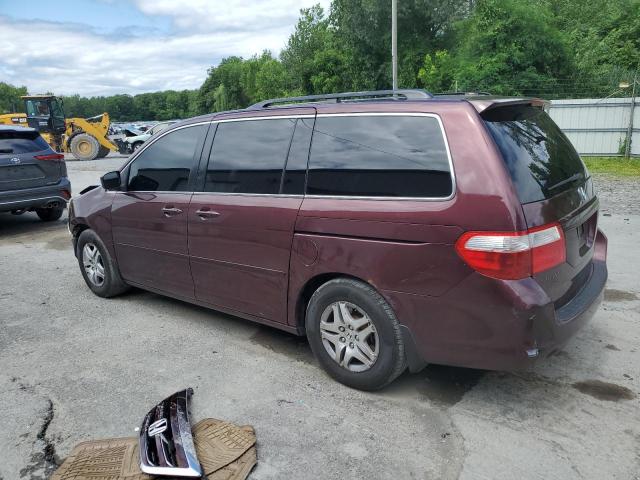 Photo 1 VIN: 5FNRL38757B090629 - HONDA ODYSSEY EX 