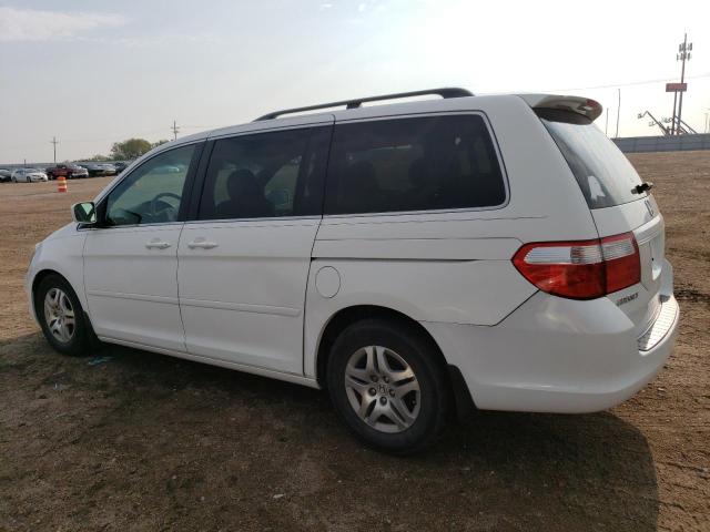 Photo 1 VIN: 5FNRL38757B137853 - HONDA ODYSSEY EX 