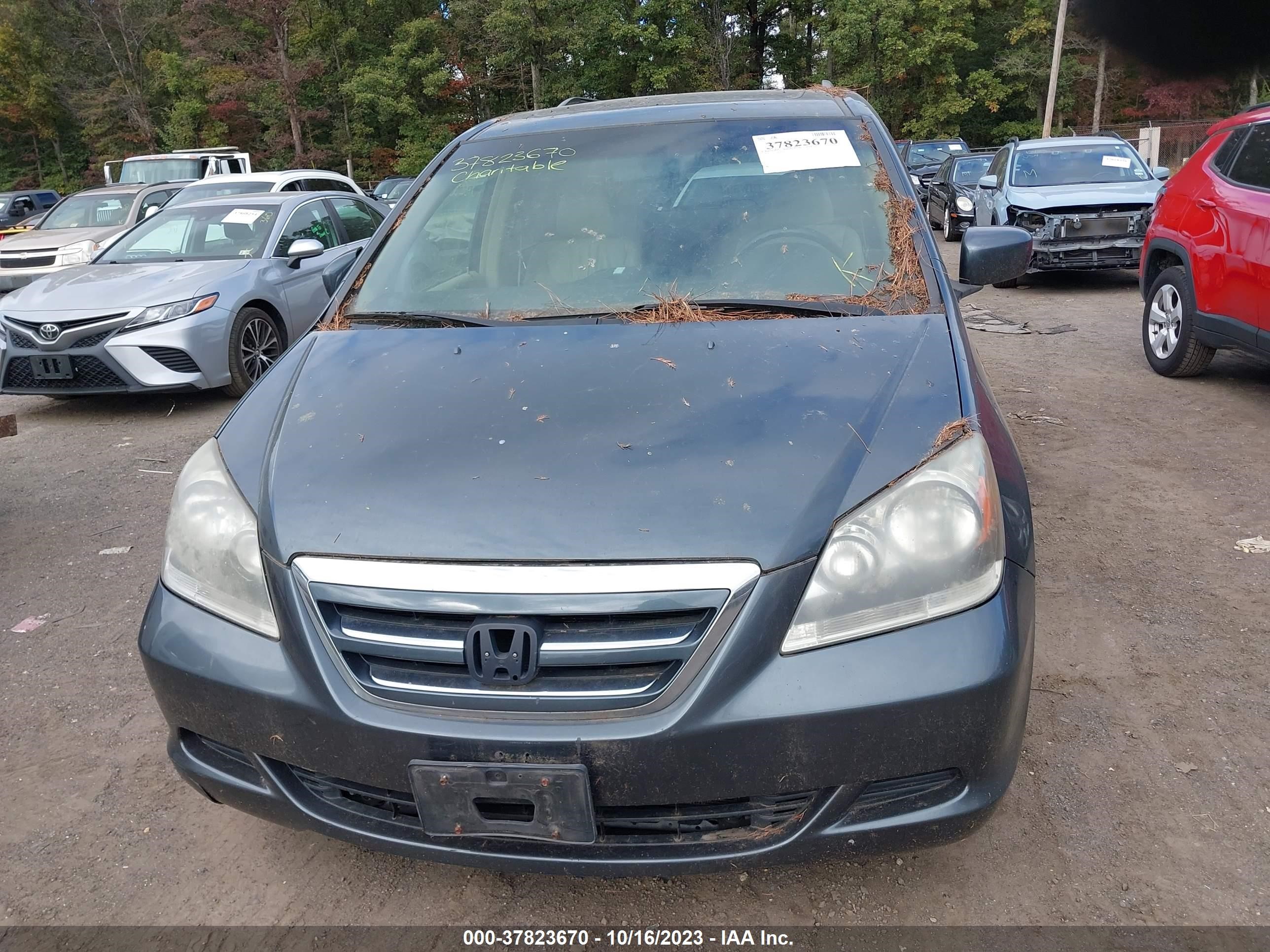 Photo 5 VIN: 5FNRL38766B425542 - HONDA ODYSSEY 