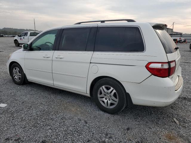 Photo 1 VIN: 5FNRL38767B449079 - HONDA ODYSSEY EX 