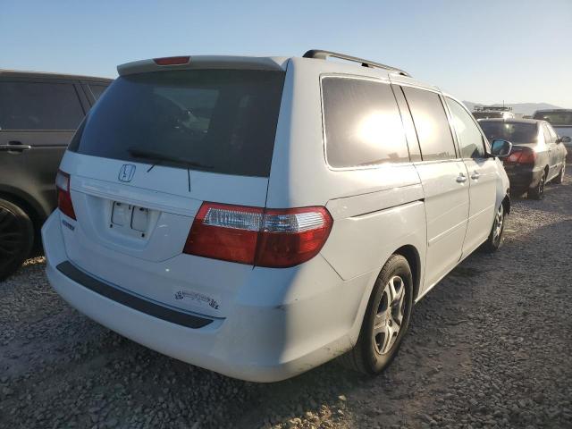 Photo 2 VIN: 5FNRL38767B462236 - HONDA ODYSSEY EX 