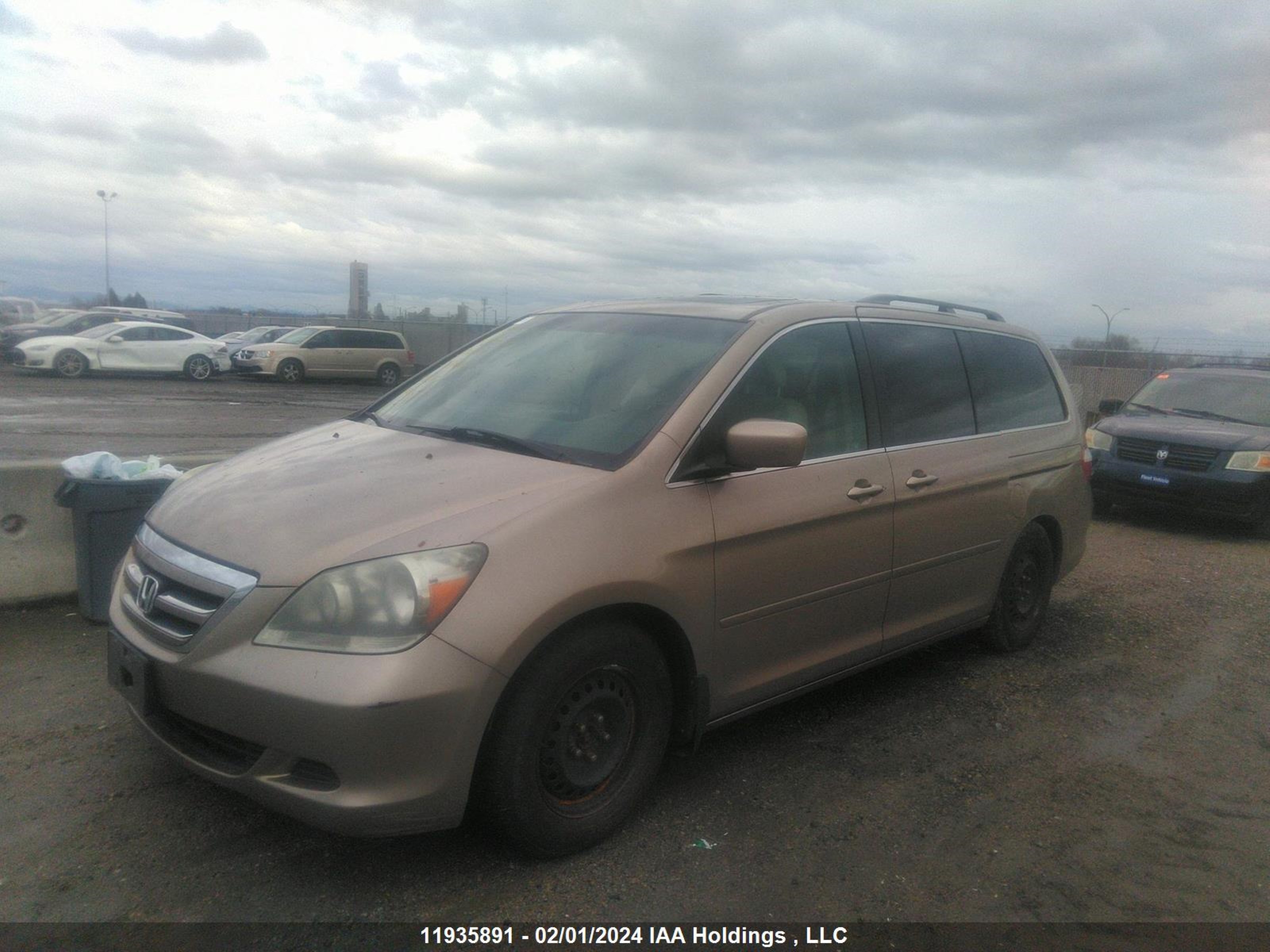 Photo 1 VIN: 5FNRL38767B501357 - HONDA ODYSSEY 